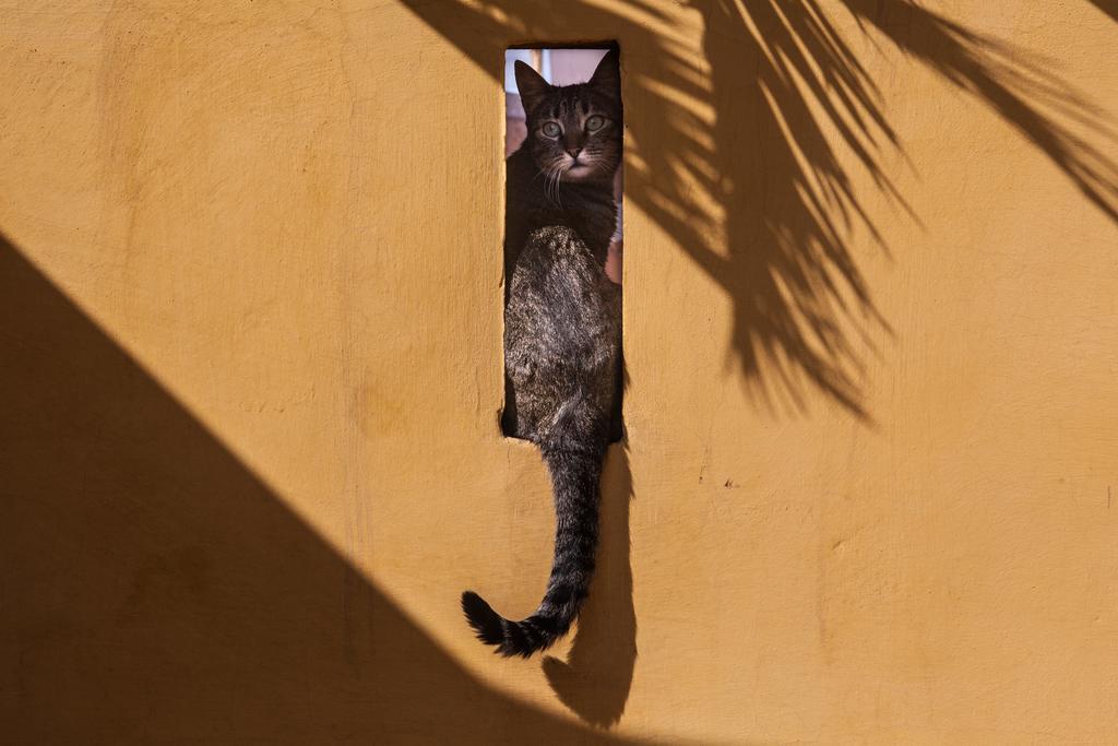 Dar Kleta Hotel Marrakesh Eksteriør billede